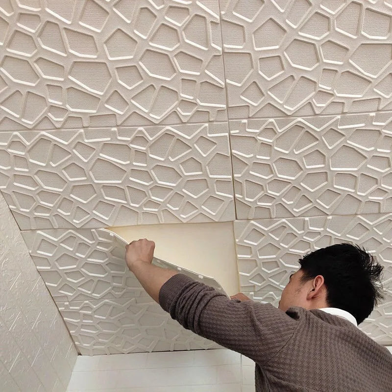 Peel & Stick Ceiling Wallpaper