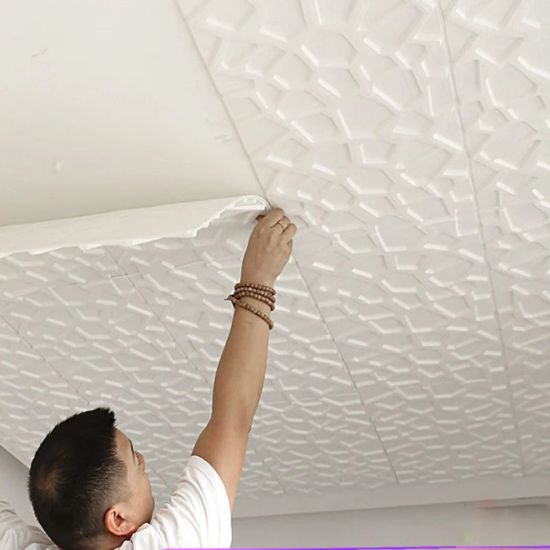 Peel & Stick Ceiling Wallpaper