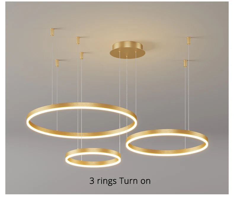 Modern Circular LED Ceiling Chandelier