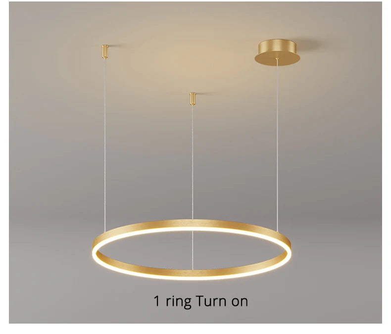 Modern Circular LED Ceiling Chandelier