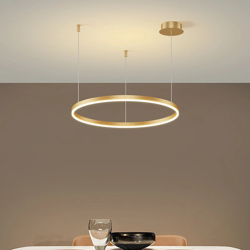 Modern Circular LED Ceiling Chandelier