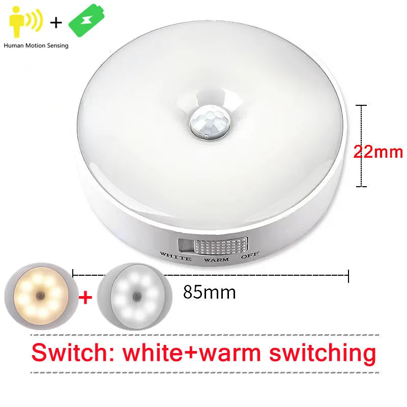 Motion Sensor Light