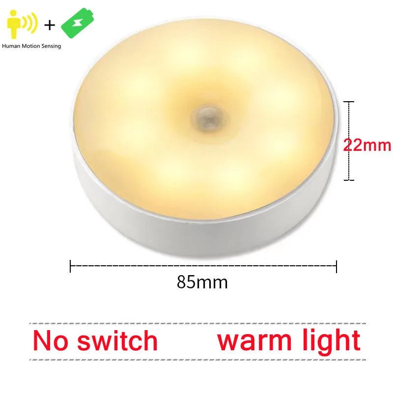 Motion Sensor Light