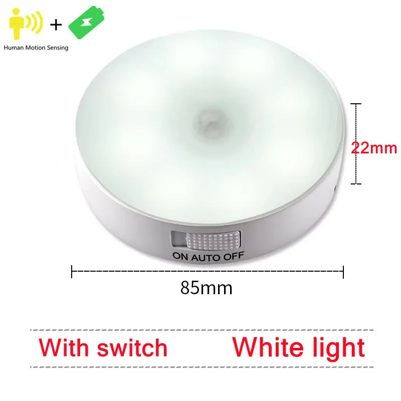 Motion Sensor Light