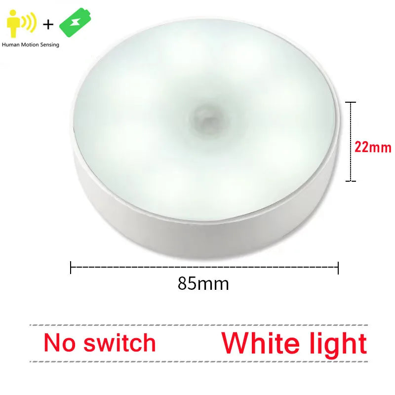 Motion Sensor Light