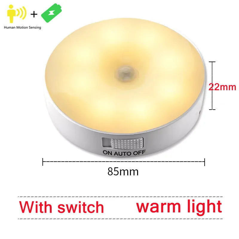 Motion Sensor Light