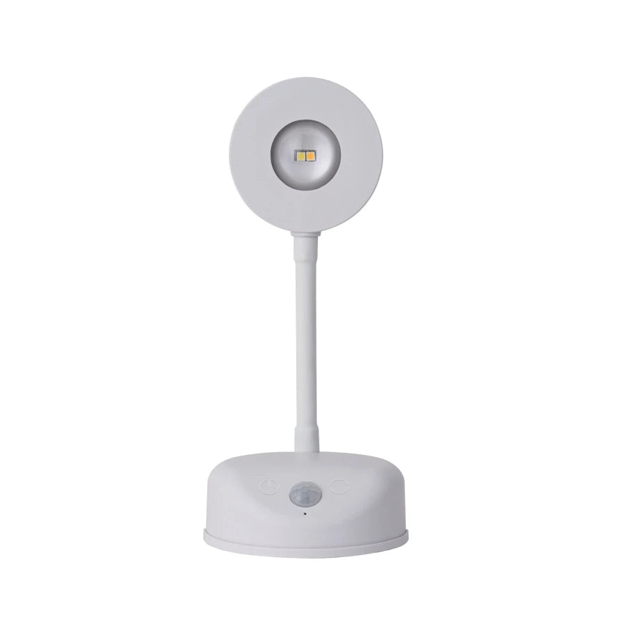 LED Motion Sensor Light Night